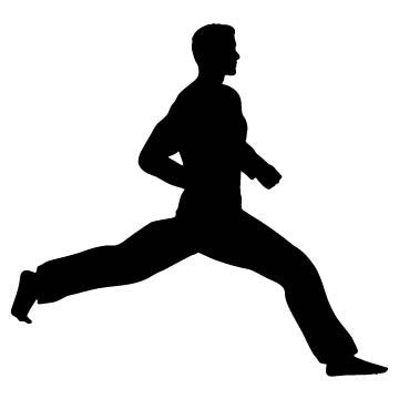 Picniva Fighting Sport Style 179 Removable Vinyl Wall Decal