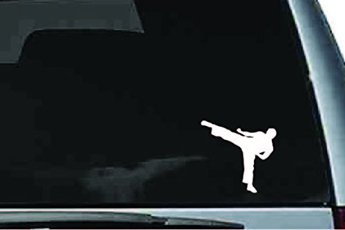 Picniva Martial Arts Fighter Sty217 Vinyl Car Window Decal, Approx 5 in