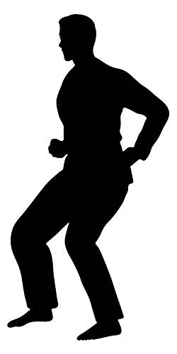 Picniva Fighting Sport Type 40 Removable Vinyl Wall Decal