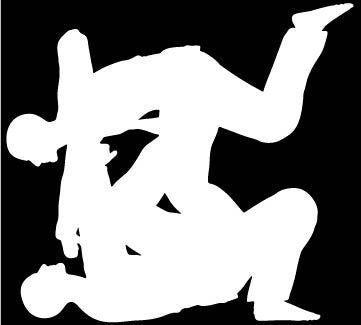 Picniva Martial Arts Fighter Type14 Vinyl Car Window Decal, Approx 5 in