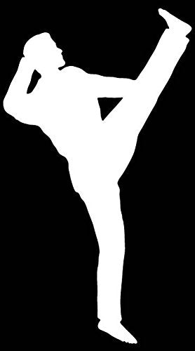 Picniva Martial Arts Fighter Sty148 Vinyl Car Window Decal, Approx 5 in