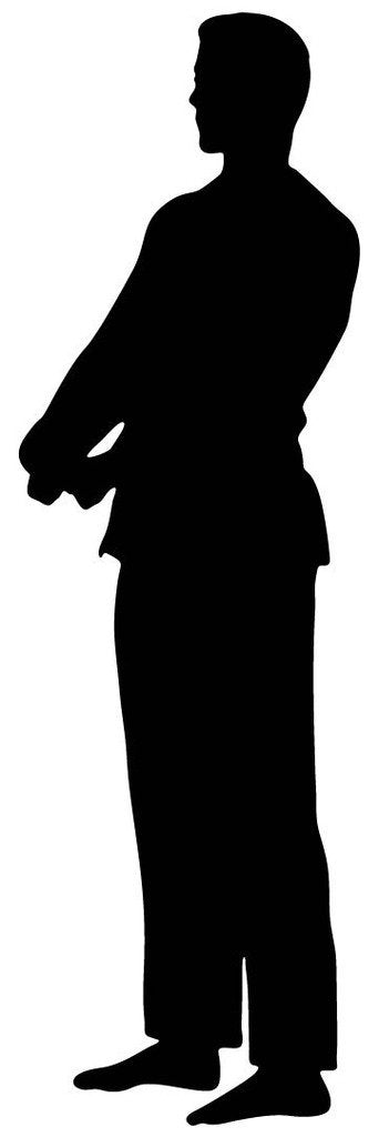 Picniva Fighting Sport Type 41 Removable Vinyl Wall Decal