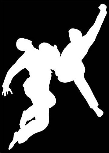 Picniva Martial Arts Fighter Type25 Vinyl Car Window Decal, Approx 5 in