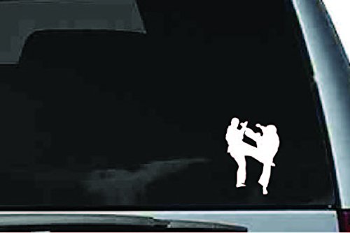 Picniva Martial Arts Fighter Sty219 Vinyl Car Window Decal, Approx 5 in