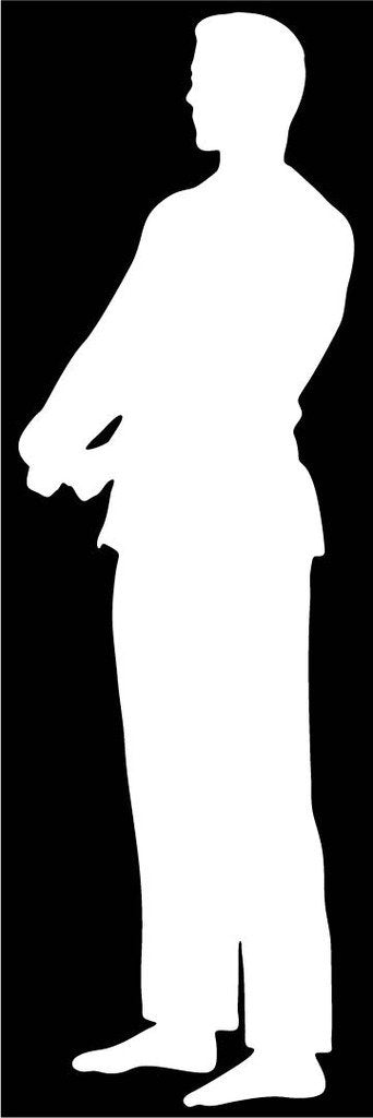 Picniva Martial Arts Fighter Type41 Vinyl Car Window Decal, Approx 5 in