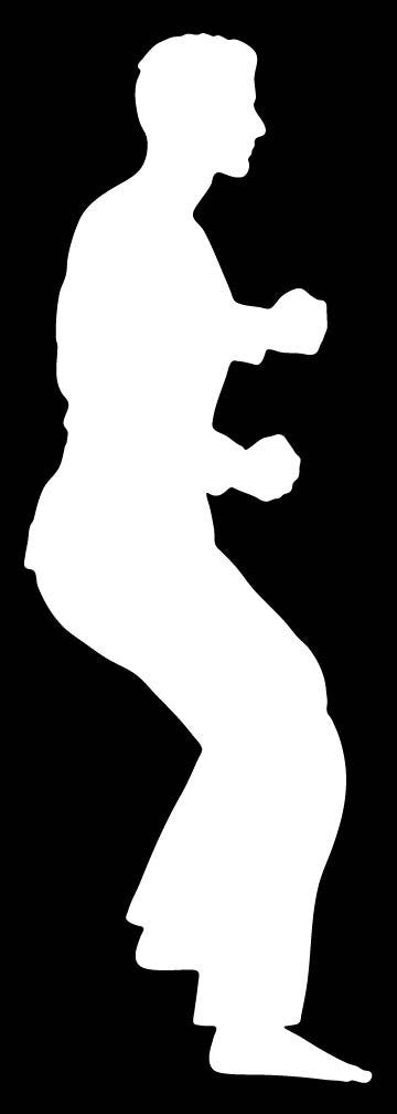 Picniva Martial Arts Fighter Sty160 Vinyl Car Window Decal, Approx 5 in