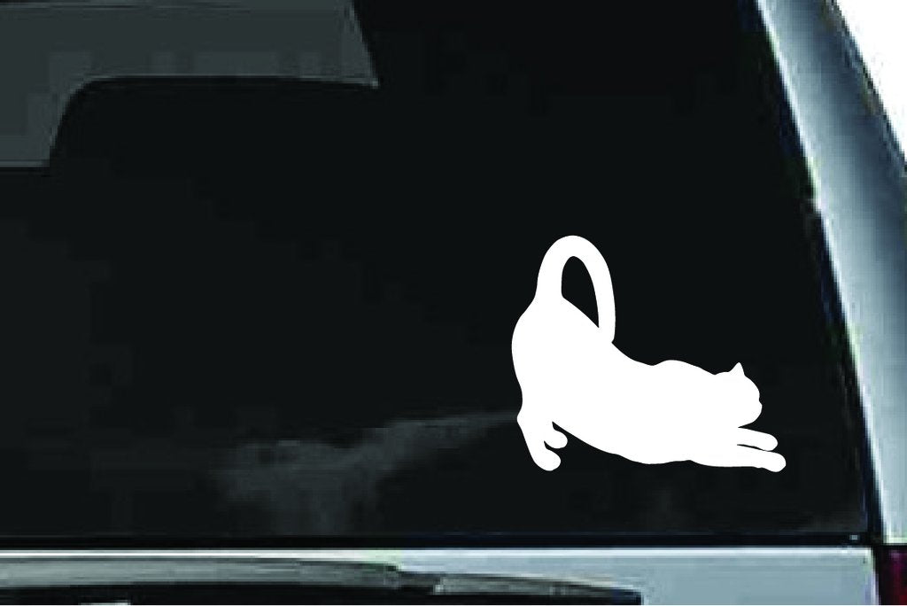 Picniva Exotic Shorthair Cat Sty10 Vinyl Car Window Decal, Approx 5 in