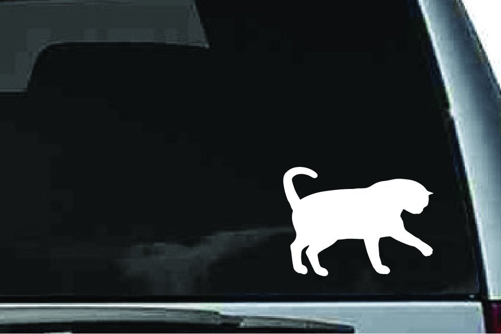 Picniva Exotic Shorthair Cat Sty11 Vinyl Car Window Decal, Approx 5 in
