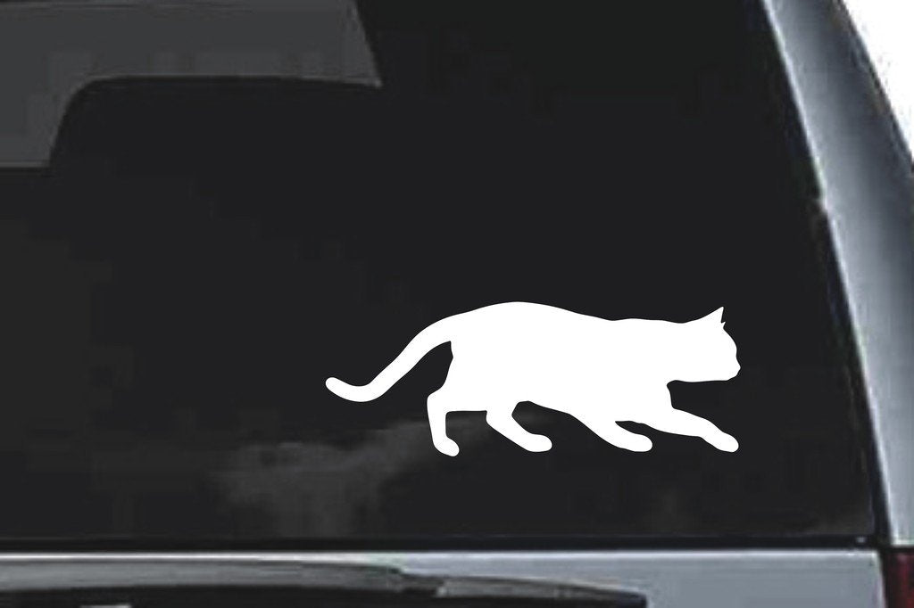 Picniva British Shorthair Cat Sty7 Vinyl Car Window Decal, Approx 5 in