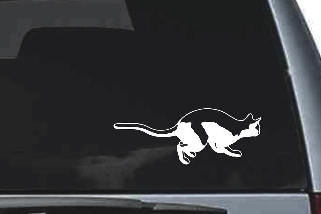 Picniva Cat Sty24 Vinyl Car Window Decal, Approx 5 in
