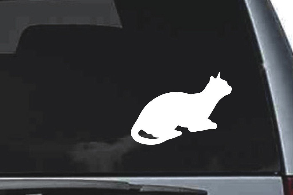 Picniva Cat Sty23a Vinyl Car Window Decal, Approx 5 in