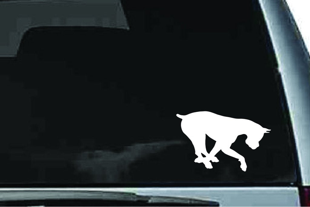 Picniva Boxer Dog Sty38 Vinyl Car Window Decal, Approx 5 in