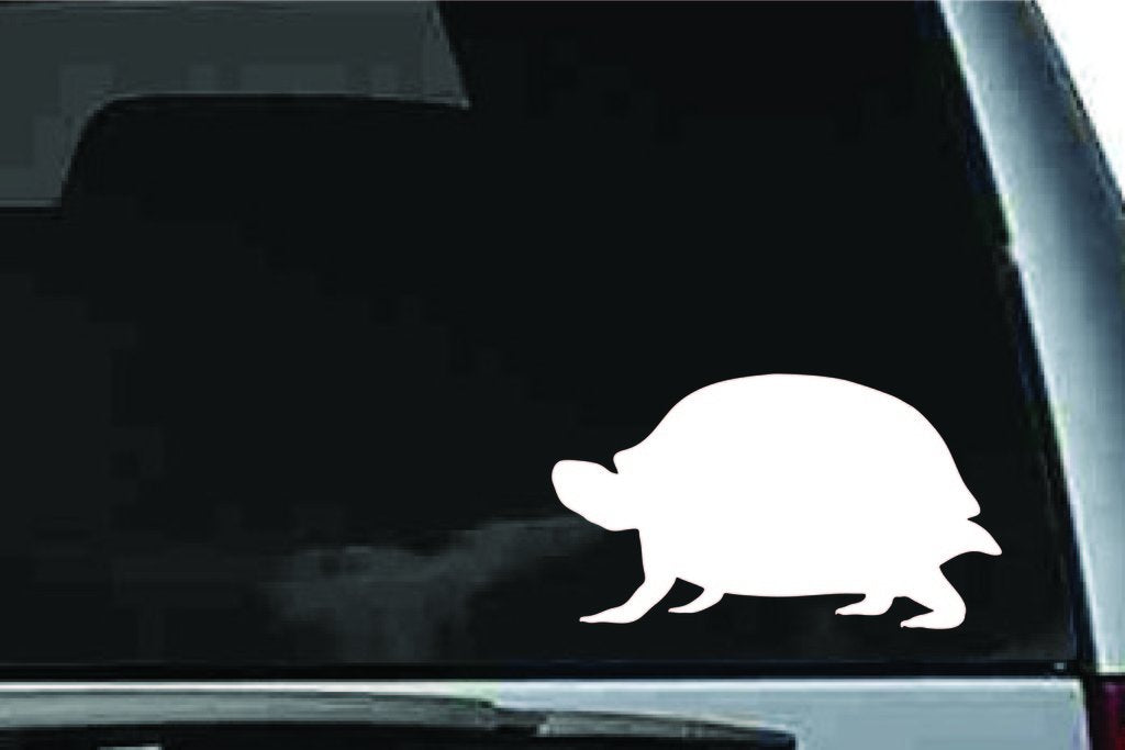 Picniva Box Turtle Sty3 Vinyl Car Window Decal, Approx 5 in