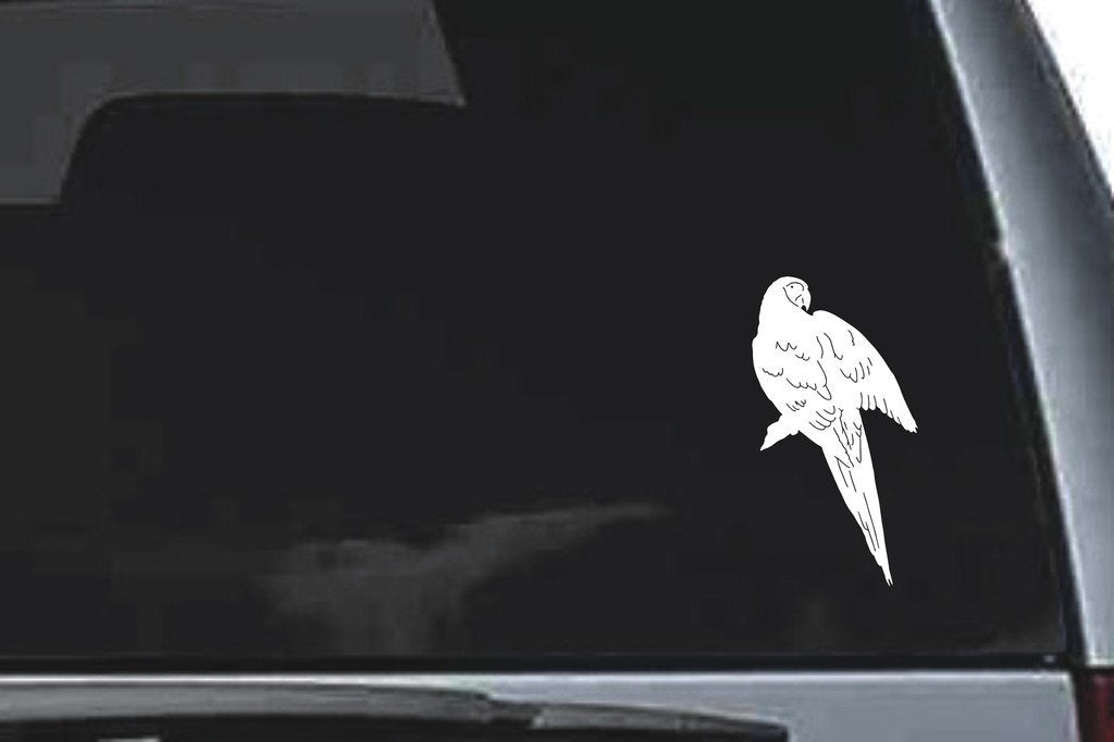 Picniva Parrot Sty6 Vinyl Car Window Decal, Approx 5 in