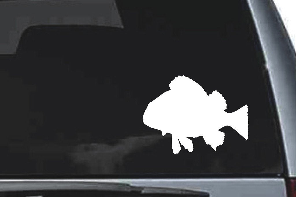 Picniva Rock Fish Sty1 Vinyl Car Window Decal, Approx 5 in