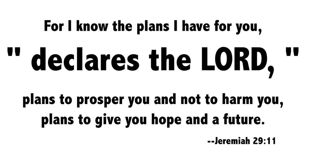 Picniva Jeremiah 29:11 Scripture Removable Vinyl Wall Decal