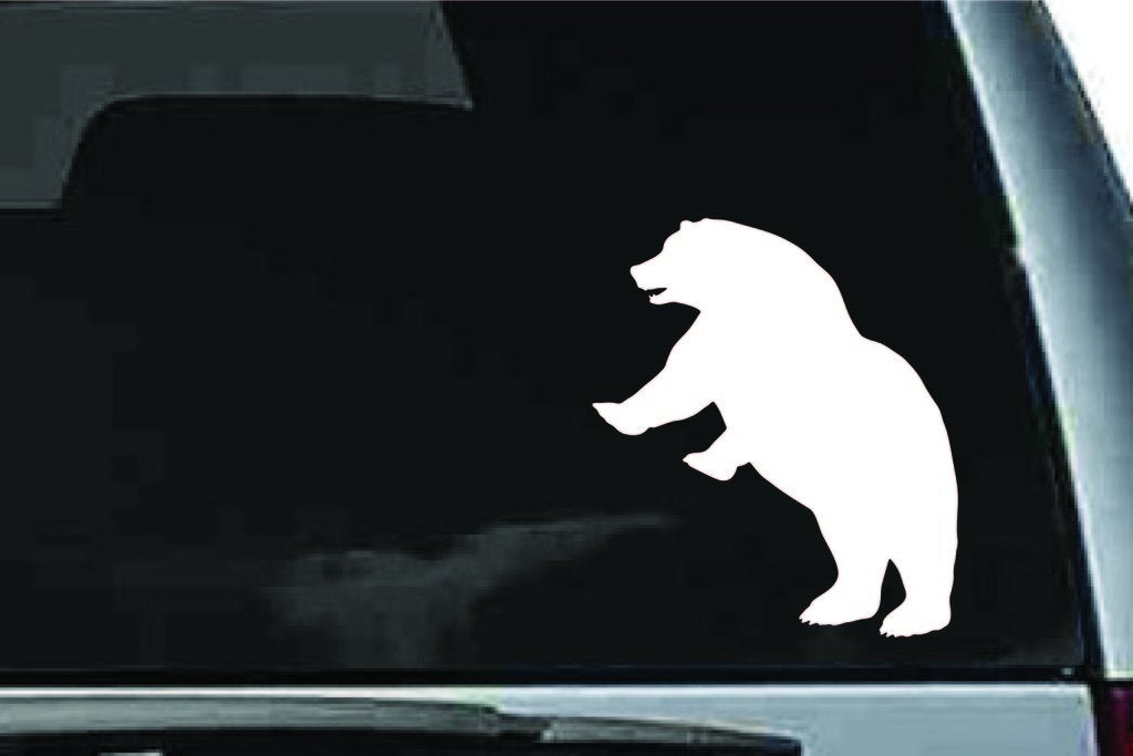 Picniva Bear Sty20 Vinyl Car Window Decal, Approx 5 in