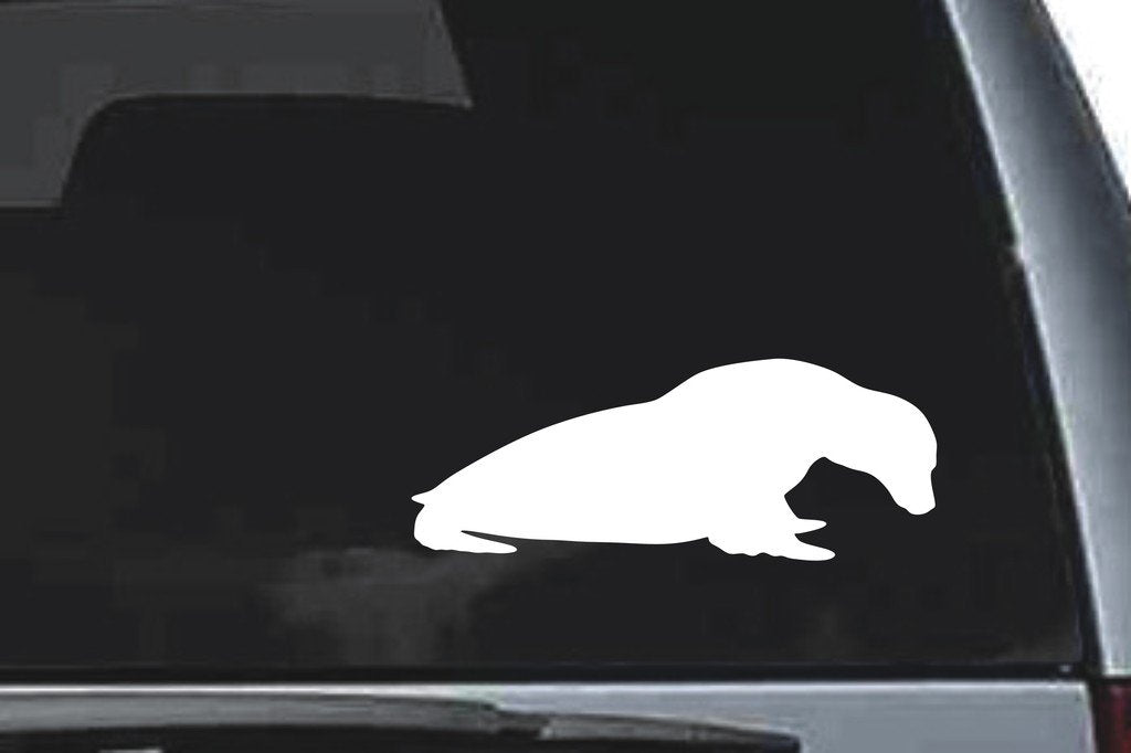 Picniva Seal Sty10 Vinyl Car Window Decal, Approx 5 in