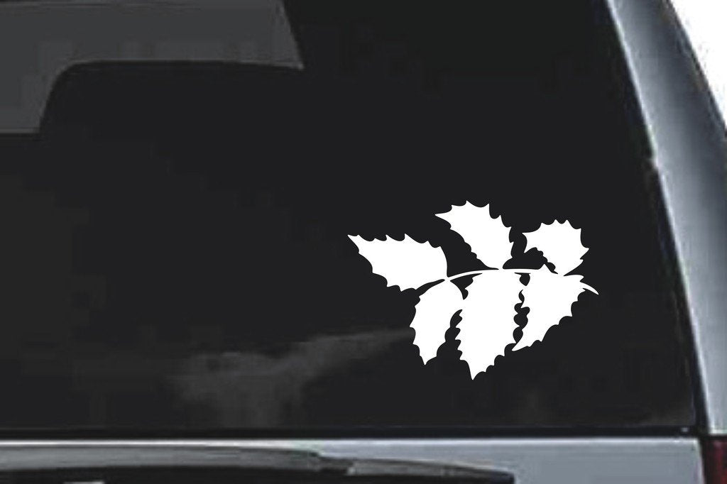Picniva Holly Sty2a Vinyl Car Window Decal, Approx 5 in