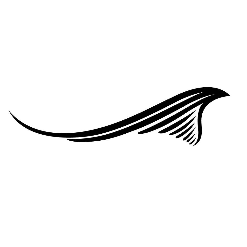 Picniva Style 166 Racing Side Stripe Vinyl Decals, 20 x 75 in, 2 Pc