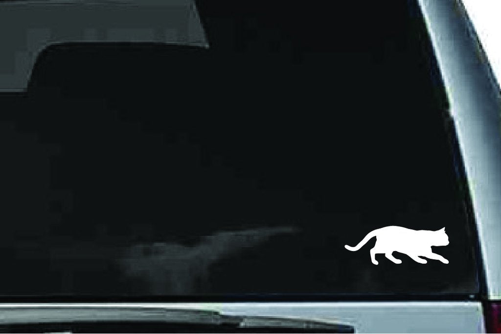 Picniva British Shorthair Cat Sty7 Vinyl Car Window Decal, Approx 5 in