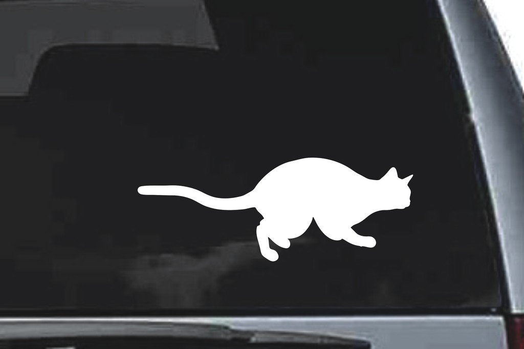 Picniva Cat Sty24a Vinyl Car Window Decal, Approx 5 in