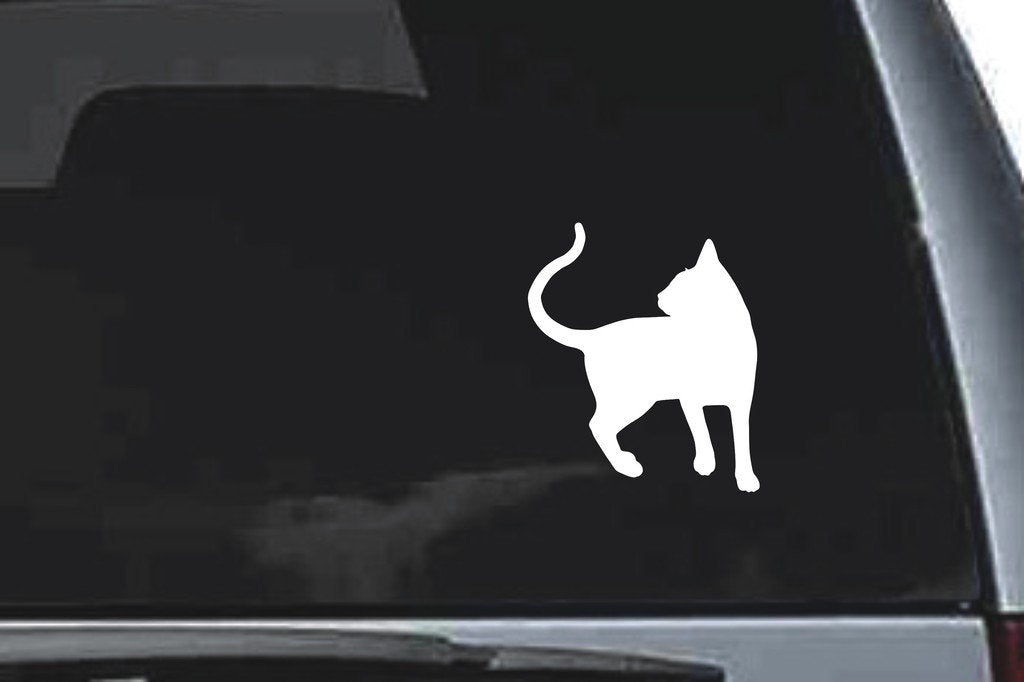 Picniva Abyssinian Cat Sty10 Vinyl Car Window Decal, Approx 5 in