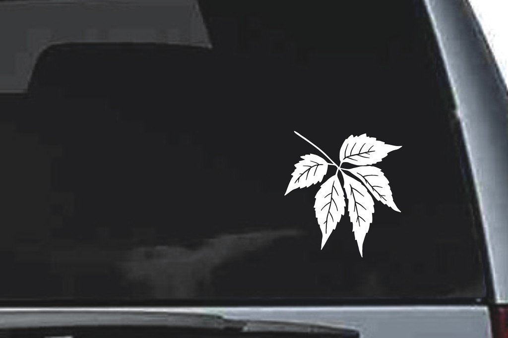 Picniva Veined Leaf Cluster Sty2 Vinyl Car Window Decal, Approx 5 in
