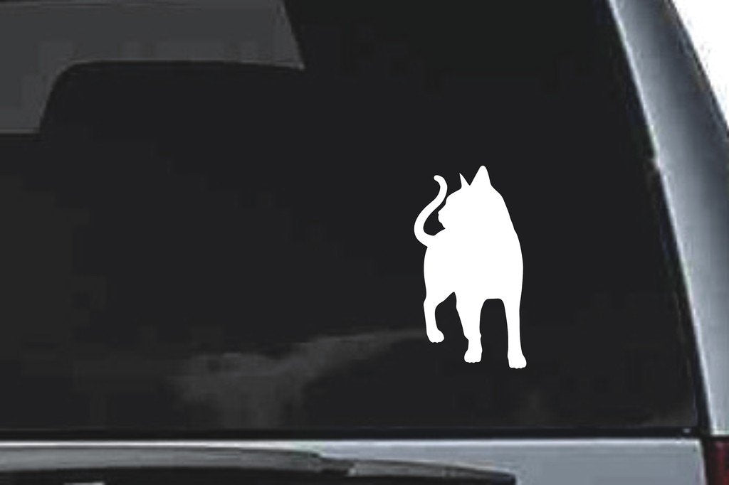 Picniva Abyssinian Cat Sty2 Vinyl Car Window Decal, Approx 5 in