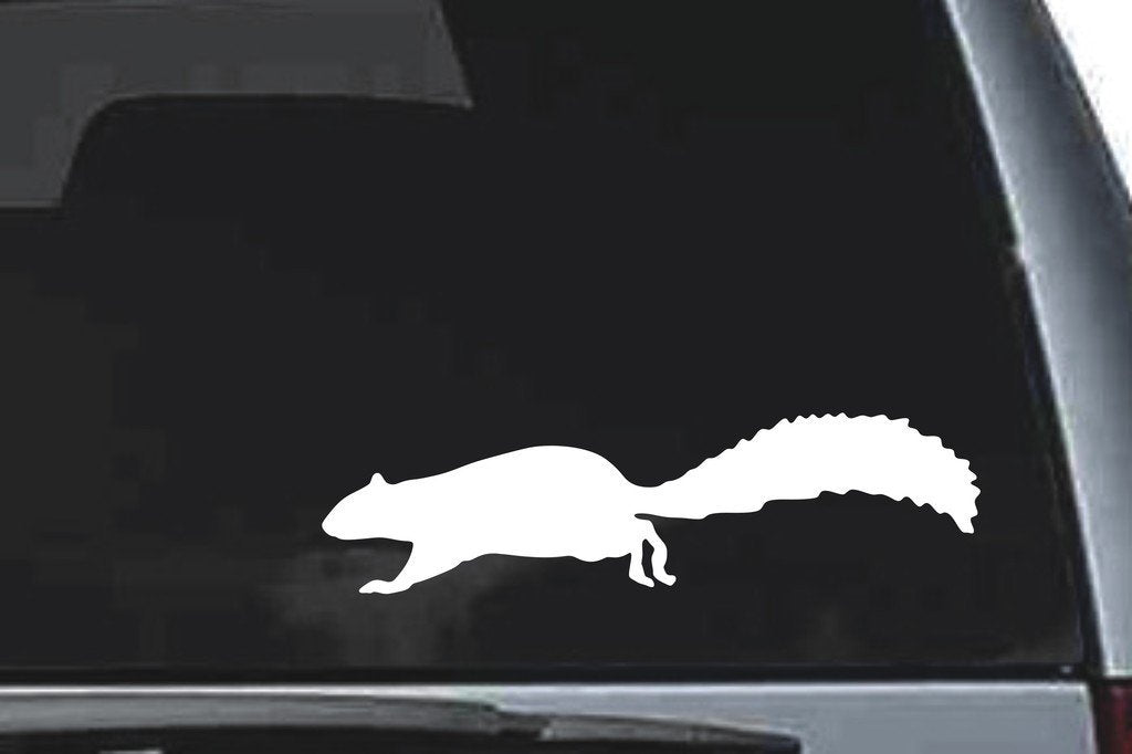 Picniva Squirrel Sty9 Vinyl Car Window Decal, Approx 5 in