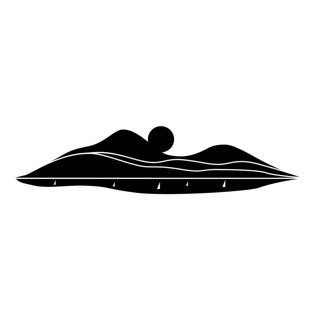 Picniva sty484 Car Body Side Stripes Vinyl Graphics Sticker Decals 2 Pcs