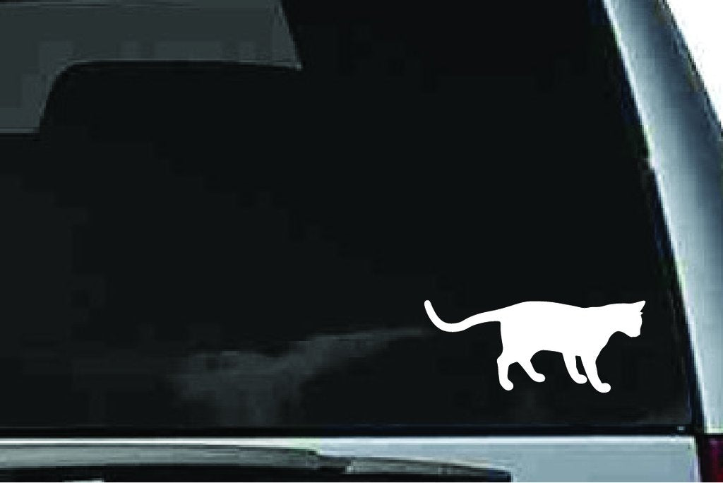 Picniva Cat Sty21a Vinyl Car Window Decal, Approx 5 in