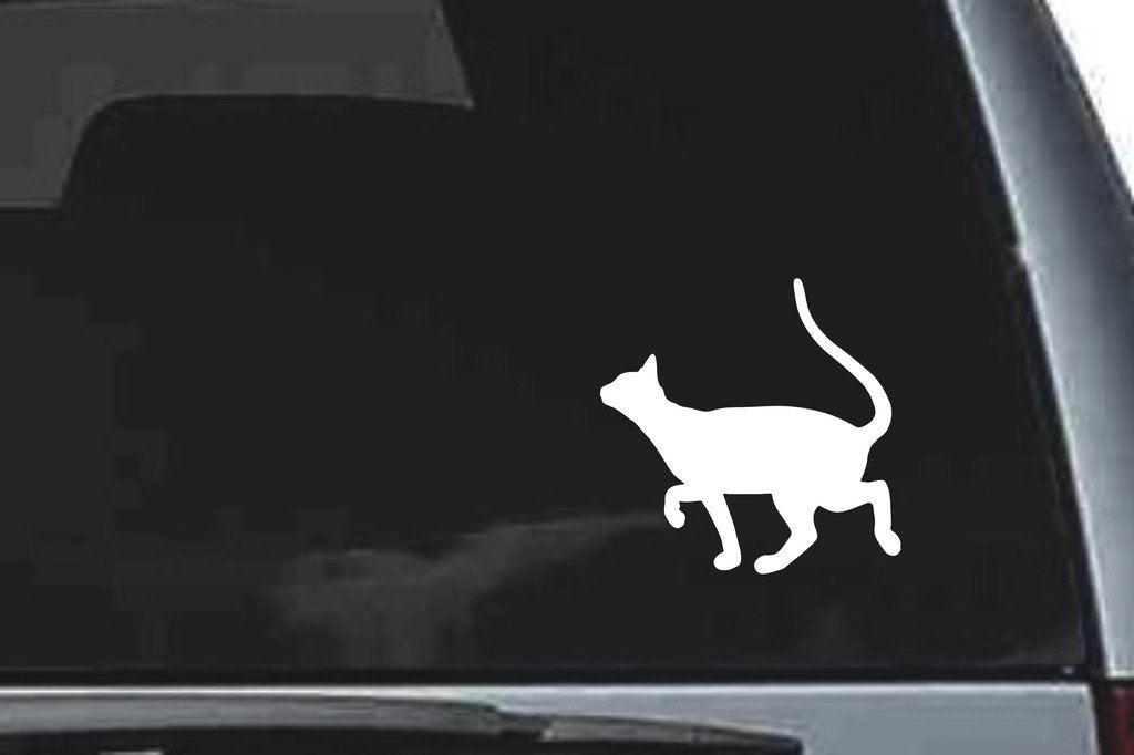 Picniva Devon Rex Cat Sty12 Vinyl Car Window Decal, Approx 5 in