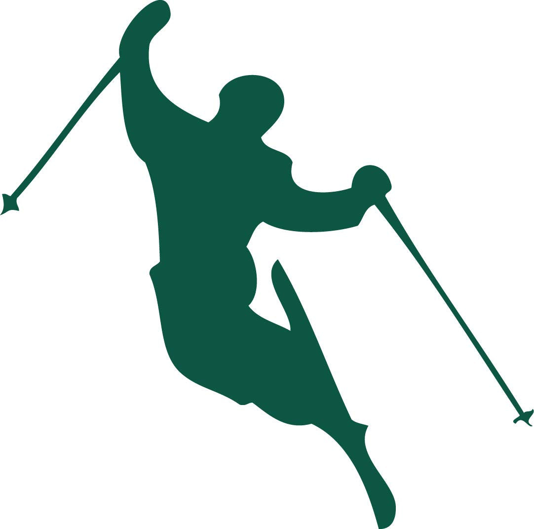 Decaltor Skier Downhill Skiing 5 in Vinyl Decal for Laptop Bumper Wall