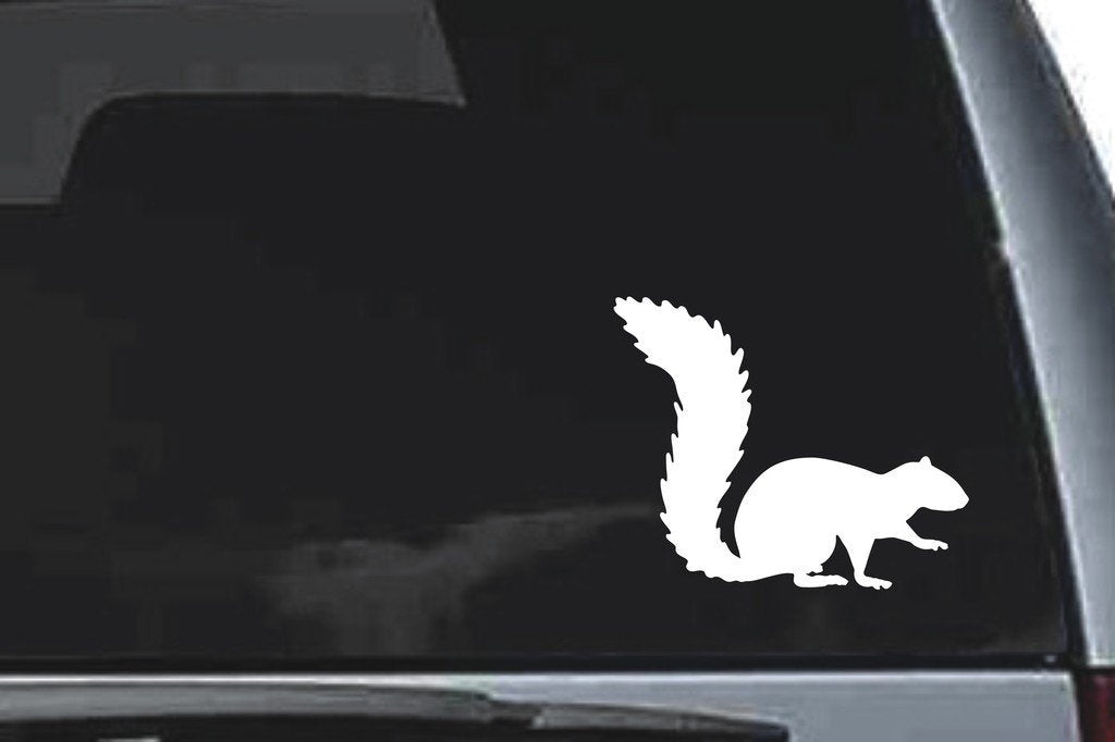 Picniva Squirrel Sty12 Vinyl Car Window Decal, Approx 5 in