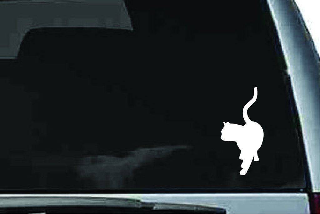 Picniva British Shorthair Cat Sty4 Vinyl Car Window Decal, Approx 5 in