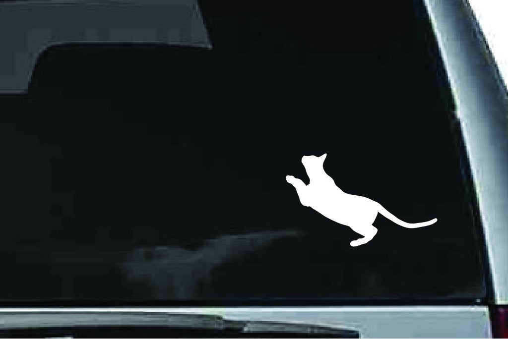 Picniva Abyssinian Cat Sty6 Vinyl Car Window Decal, Approx 5 in