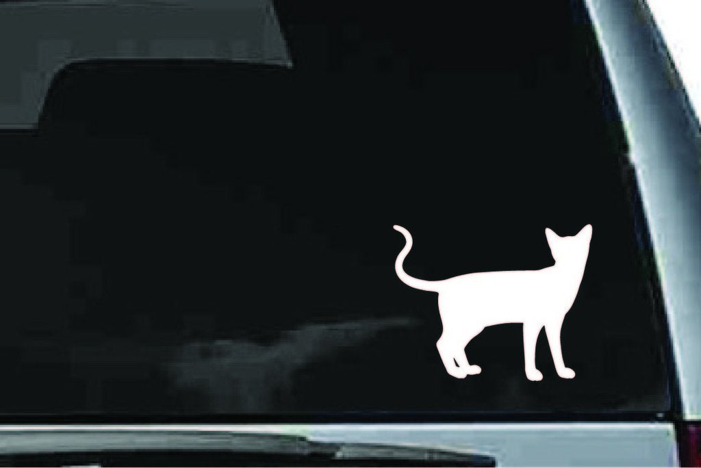Picniva Siamese Cat Sty15 Vinyl Car Window Decal, Approx 5 in