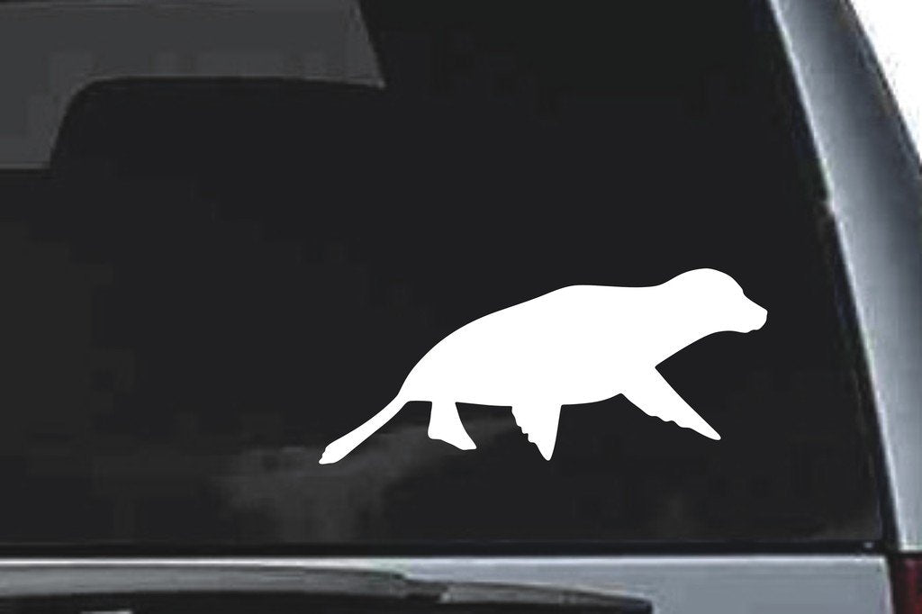 Picniva Seal Sty5 Vinyl Car Window Decal, Approx 5 in