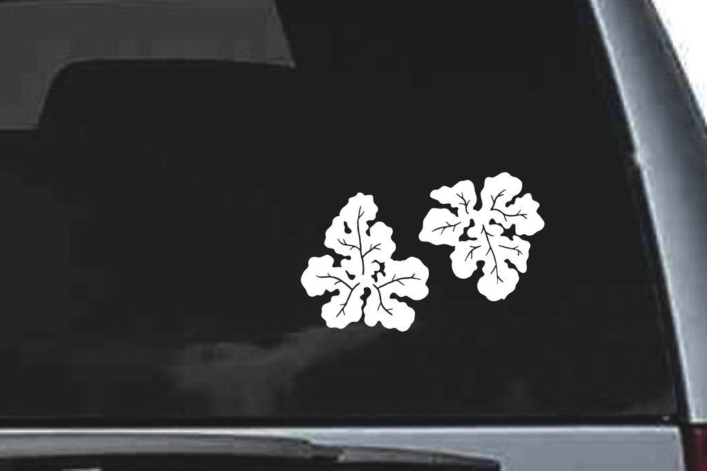 Picniva Textured Flower Pair Design62 Vinyl Car Window Decal, Approx 5 in