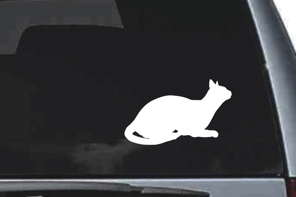 Picniva Abyssinian Cat Sty9 Vinyl Car Window Decal, Approx 5 in