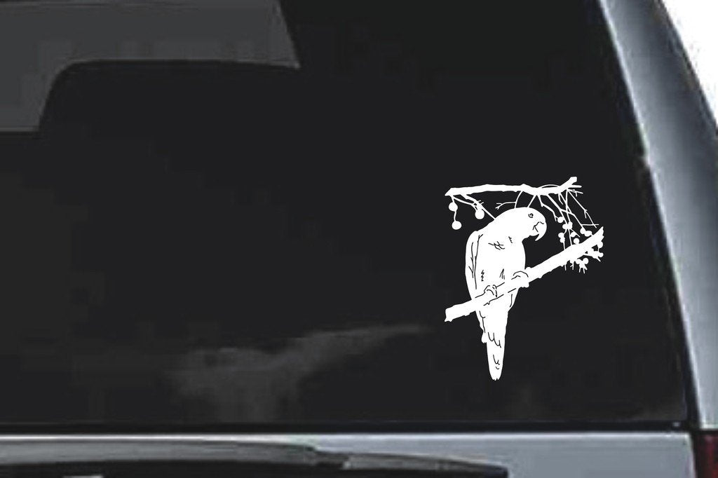 Picniva Parrot Sty5 Vinyl Car Window Decal, Approx 5 in