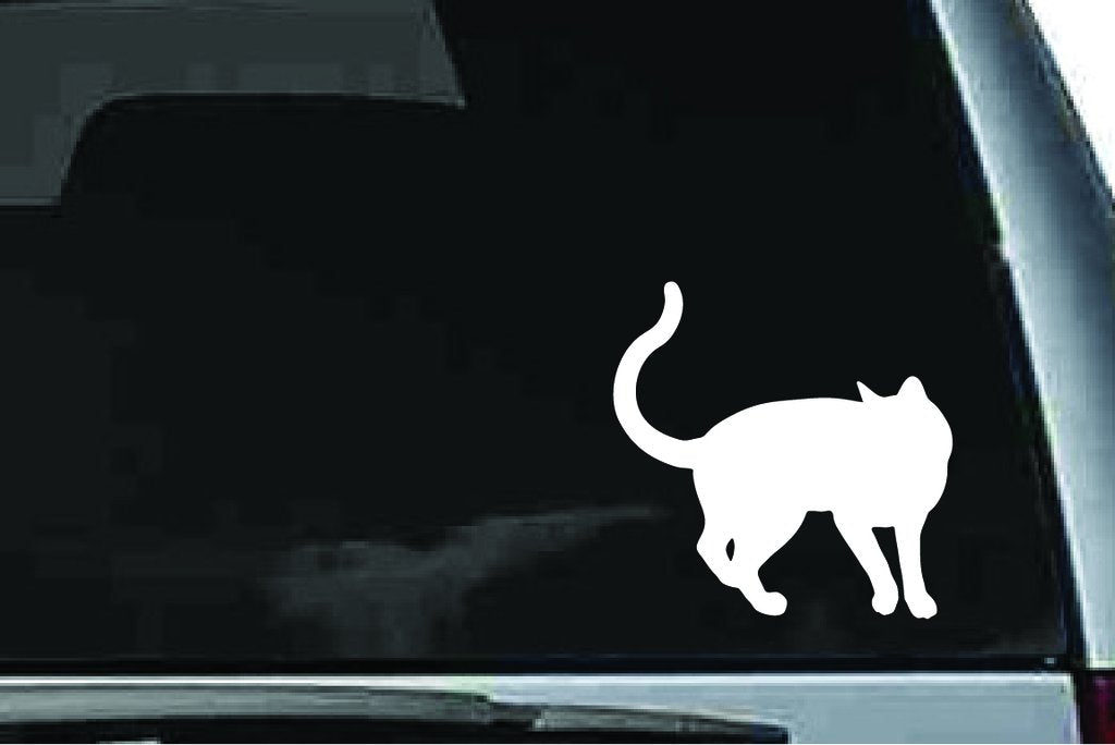 Picniva Cat Sty25a Vinyl Car Window Decal, Approx 5 in