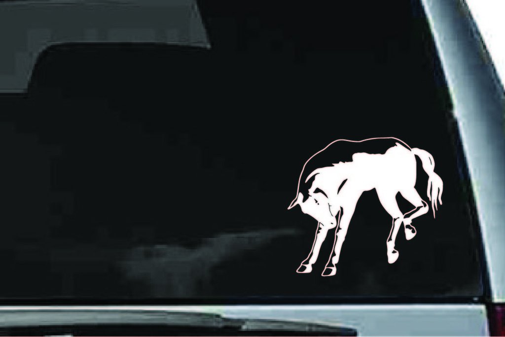 Picniva Horse Sty40 Vinyl Car Window Decal, Approx 5 in