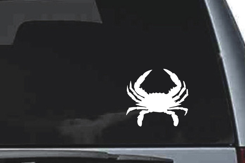 Picniva Cancer Sty4 Vinyl Car Window Decal, Approx 5 in
