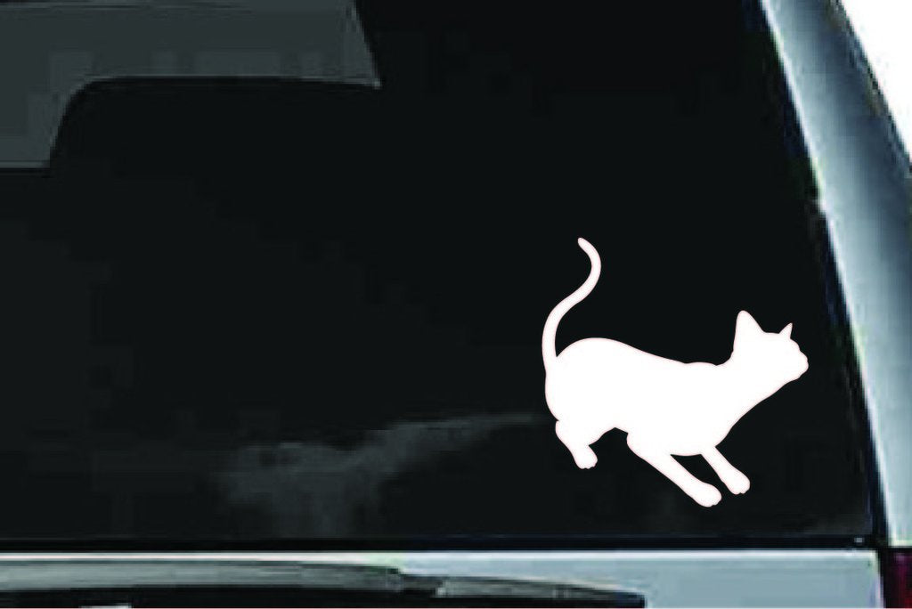 Picniva Siamese Cat Sty25 Vinyl Car Window Decal, Approx 5 in
