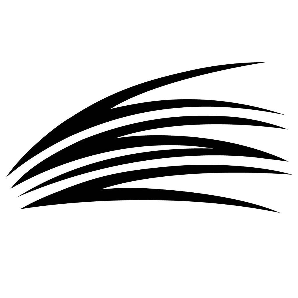 Picniva Style 100 Racing Side Stripe Vinyl Decals, 20 x 42 in, 2 Pc
