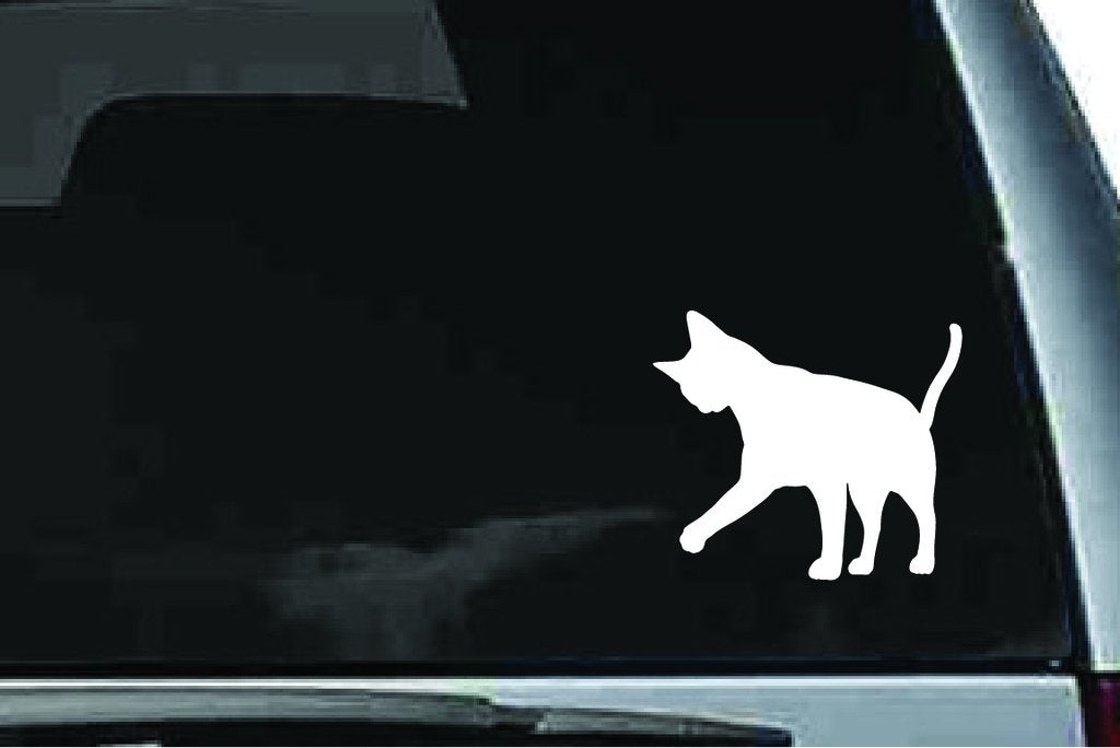 Picniva Abyssinian Cat Sty4 Vinyl Car Window Decal, Approx 5 in