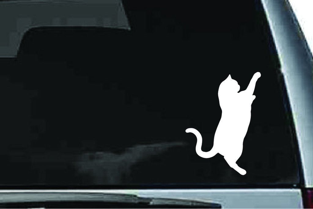 Picniva Exotic Shorthair Cat Sty9 Vinyl Car Window Decal, Approx 5 in