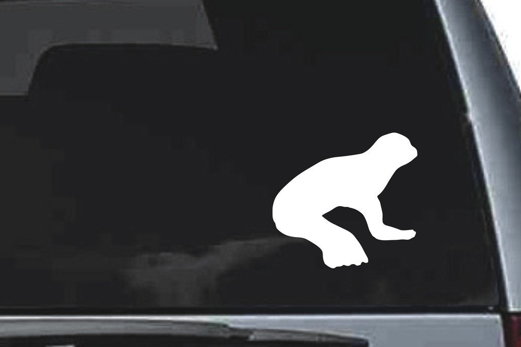 Picniva Seal Pup Sty2 Vinyl Car Window Decal, Approx 5 in